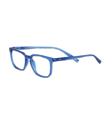 GAFAS PROTEC PARKER BLUE 3.0