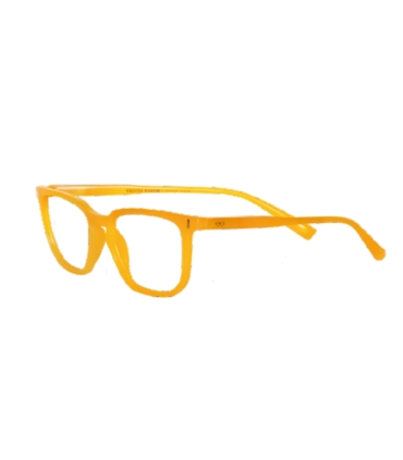 GAFAS PROTEC PARKER ORANGE 2.0