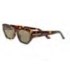 GAFAS SOL PROTEC SIENA C2 HAVANA