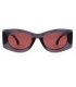 GAFAS DE SOL PROTECFARMA ATHENS C1 GREY