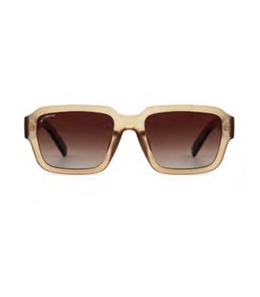 GAFAS DE SOL PROTECFARMA WASHINGTON C2 BROWN