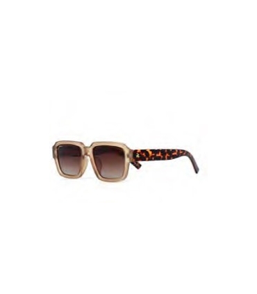GAFAS DE SOL PROTECFARMA WASHINGTON C2 BROWN