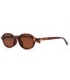 GAFAS DE SOL PROTECFARMA NEW DELHI C2 HABANA