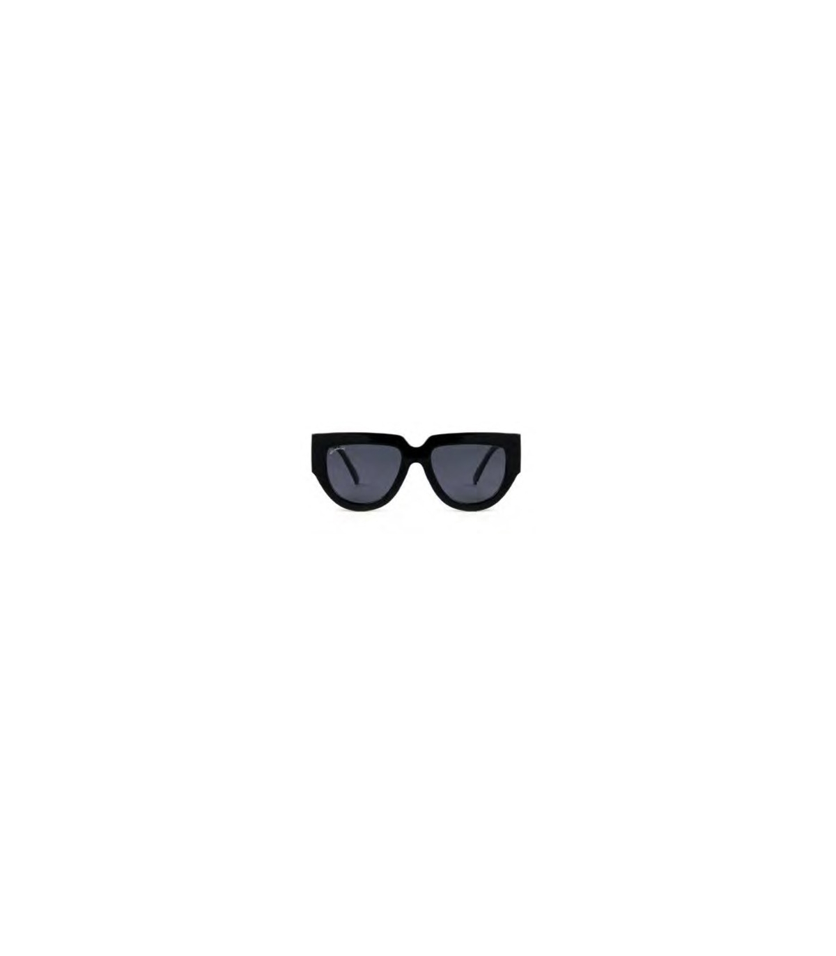 GAFAS DE SOL PROTECFARMA BERN C2 BLACK