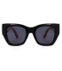 GAFAS DE SOL PROTECFARMA DUBLIN C2 BLACK