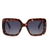 GAFAS DE SOL PROTECFARMA VARSOVIA C1 HAVANA