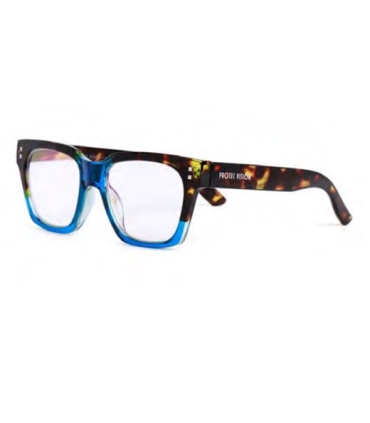 GAFAS PROTECFARMA ZOOM BLUE +2.0